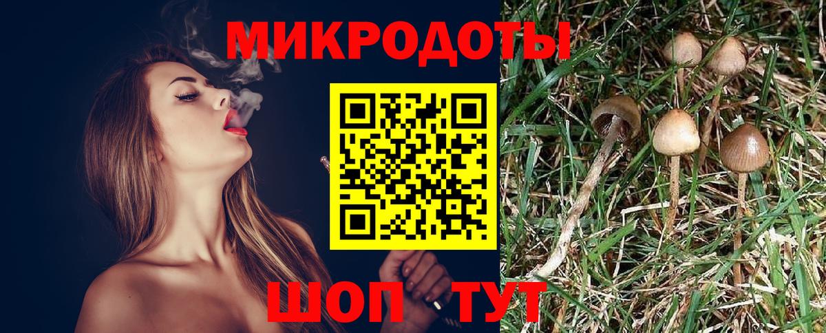 Псилоцибиновые грибы Magic Shrooms Унеча