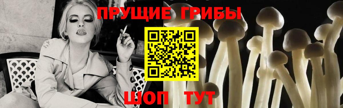 Галлюциногенные грибы прущие грибы  Вход с VPN  Псилоцибиновые грибы Cubensis  Унеча 